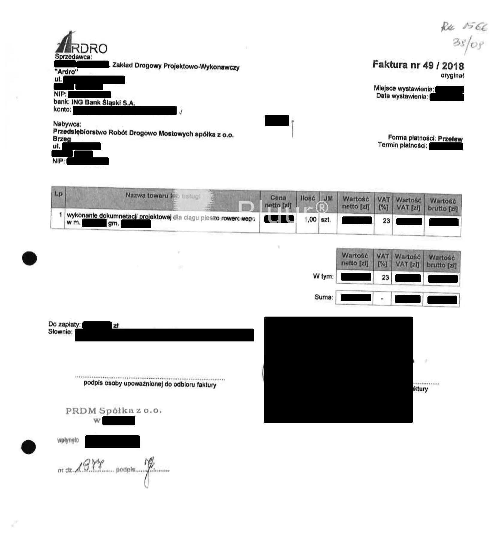 Polish invoice anonymization