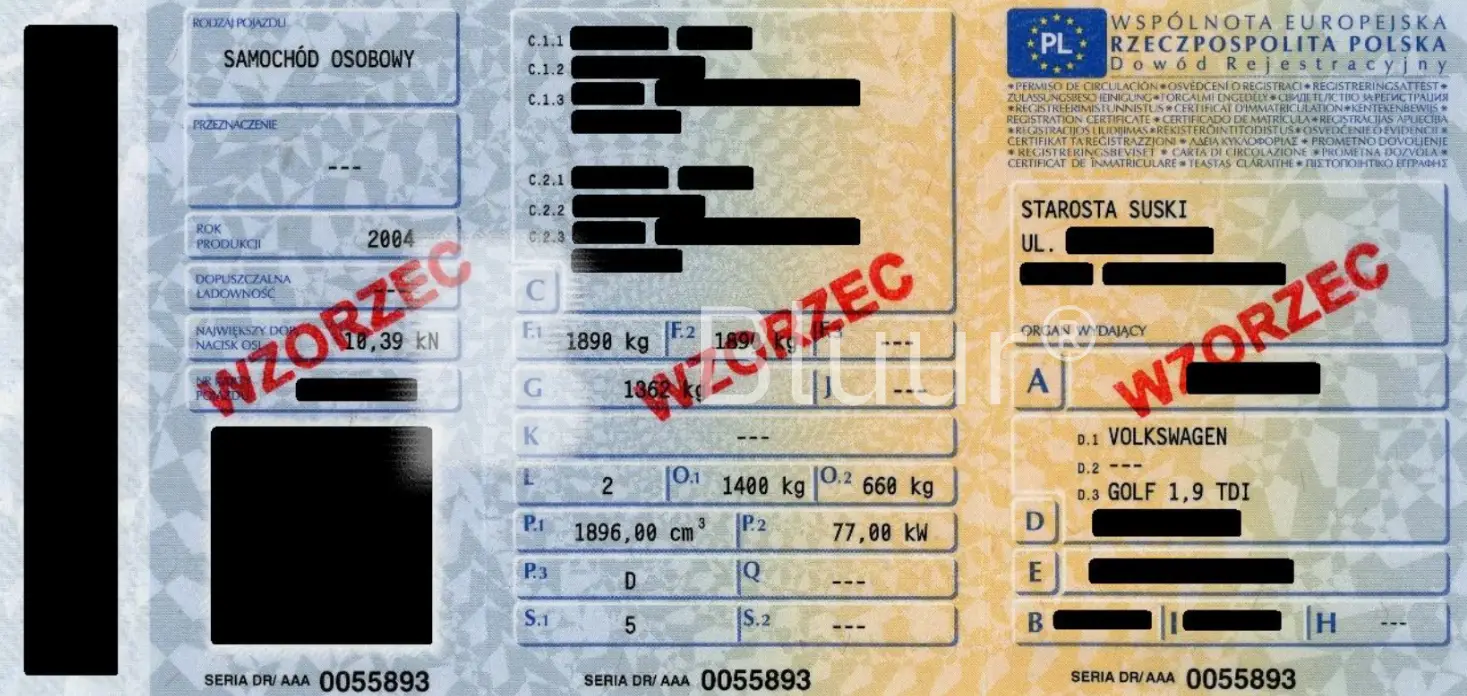 Polish vehicle registration certificate anonymization